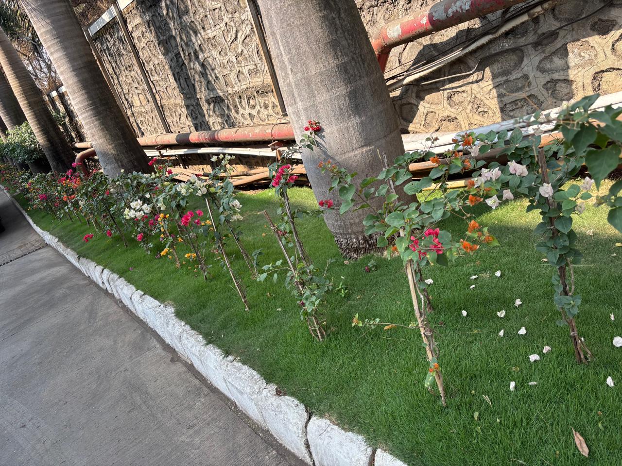 Farm House, Ahilyanagar