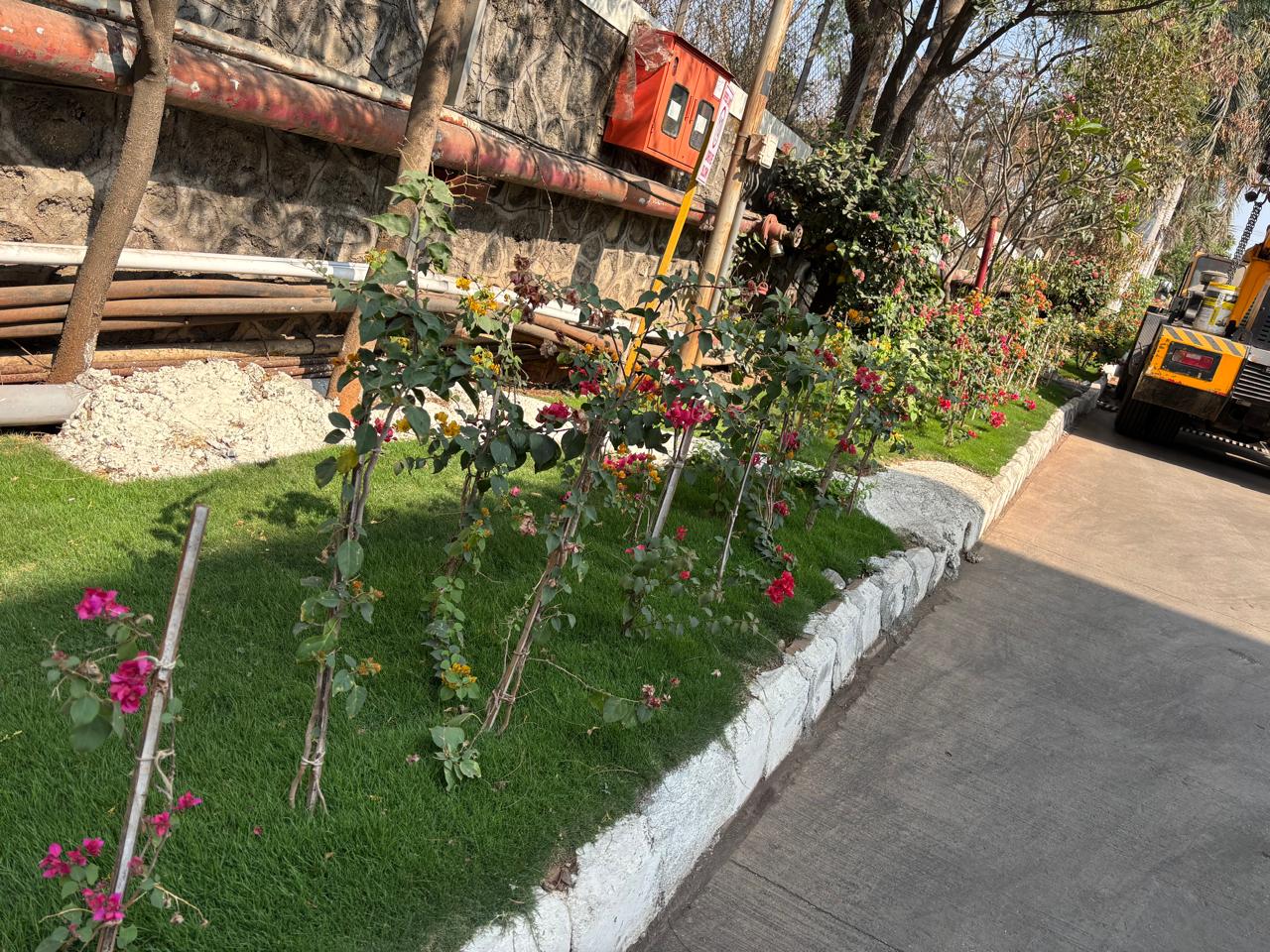 Farm House, Ahilyanagar