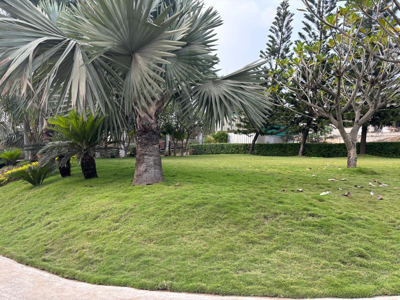 Farm House, Ahilyanagar